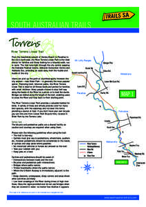 SOUTH AUSTRALIAN TRAILS River Torrens Linear Trail From the beachside suburb of Henley Beach to Paradise in the city’s north-east, the River Torrens Linear Park is the ideal choice for families and those looking for a 