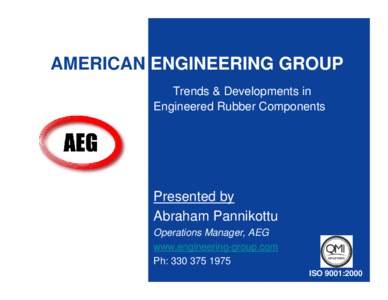 AMERICAN ENGINEERING GROUP