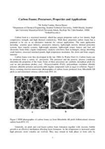 Carbon Foams; Precursors, Properties and Applications *M. Ferhat Yardım, Ekrem Ekinci *Department of Chemical Engineering, Istanbul Technical University, 34469 Maslak, Istanbul Işık University Meşrutiyet Köyü Üniv