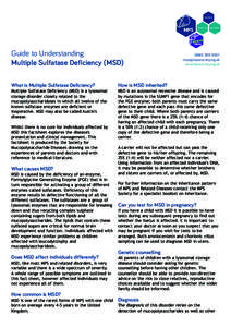Guide to Understanding Multiple Sulfatase Deficiency (MSD[removed]removed] www.mpssociety.org.uk