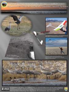 Monte Vista National Wildlife Refuge – Sandhill Cranes Population Estimates Using Small Unmanned Aircraft Systems March 20-25, 2011 The Department of the Interior – U.S. Geological Survey Raven RQ-11A Unmanned Aircra