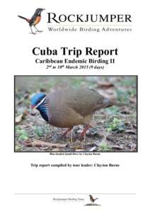 Zapata Sparrow / Yellow-headed Warbler / Bay of Pigs Invasion / Cuban Pygmy Owl / Geography of Cuba / Military history by country / Cuba / Ciego de Ávila Province / Cayo Coco / Cayo Guillermo