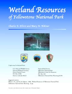 Oncorhynchus / Geography of the United States / Aquatic ecology / Wetland / Yellowstone cutthroat trout / Yellowstone National Park / Greater Yellowstone Ecosystem / Cutthroat trout / Yellowstone Lake / Wyoming / Western United States / Yellowstone