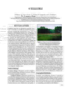 9 COMMON REED B. Blossey,1 M. Schwarzländer,2 P. Häfliger,3 R. Casagrande,4 and L. Tewksbury4 1 Department of Natural Resources, Cornell University, Ithaca, New York, United States Biological Weed Control Program, PSES