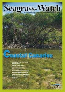 Issue 39 December[removed]Seagrass-Watch The official magazine of the Seagrass-Watch global assessment and monitoring program  Coastal Canaries