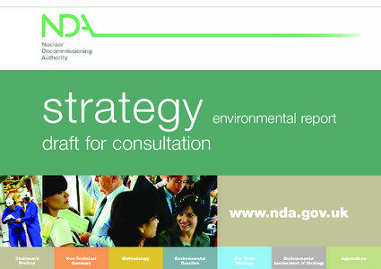 strategy  environmental report