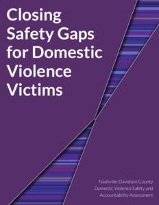 Closing Safety Gaps for Domestic Violence Victims