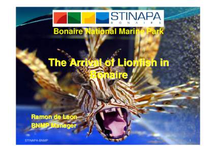 The lionfish invasion in Bonaire