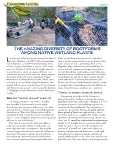 LEAFLET 15  The amazing diversity of root forms among native wetland plants  L