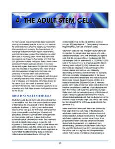 4. THE ADULT STEM CELL For many years, researchers have been seeking to understand the body’s ability to repair and replace the cells and tissues of some organs, but not others. After years of work pursuing the how and