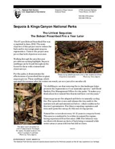 National Park Service U.S. Department of the Interior Sequoia & Kings Canyon National Parks