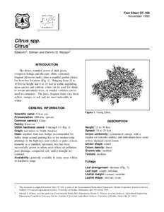 Fact Sheet ST-169 November 1993 Citrus spp. Citrus1 Edward F. Gilman and Dennis G. Watson2