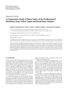 A Comparative Study of Phase States of the Peribacteroid Membrane from Yellow Lupin and Broad Bean Nodules