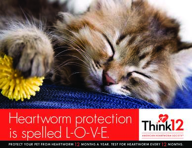 Heartworm protection is spelled L-O-V-E. PROTECT YOUR PET FROM HEARTWORM 12 MONTHS A YEAR. TEST FOR HEARTWORM EVE RY 12 MONTHS.