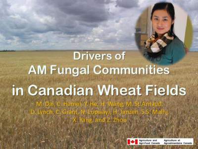 Drivers of AM Fungal Communities in Canadian Wheat Fields
