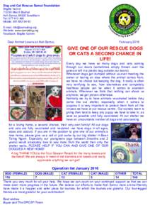 Dog and Cat Rescue Samui Foundation Brigitte GommMoo 6 Bophut Koh Samui, 84320 Suratthani Tel: Mobile: 