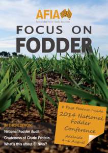focus on  Fodder Winter 2014