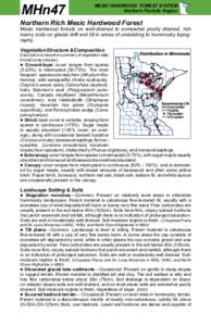 MHn47 Northern Rich Mesic Hardwood Forest factsheet