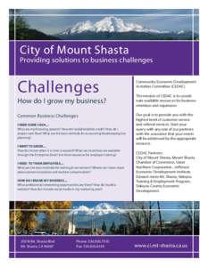 City of Mount Shasta  Providing solutions to business challenges