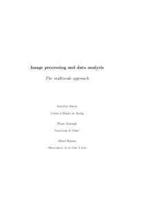 Image processing and data analysis The multiscale approach Jean-Luc Starck ´ Centre d’Etudes