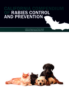 Rabies / Vaccination / Viral encephalitis / Zoonoses / Pet skunk / Vaccine / Ferret / Post-exposure prophylaxis / National Association of State Public Health Veterinarians / Health / Medicine / Biology