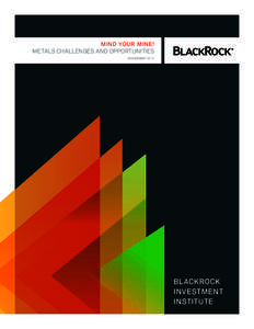 MIND YOUR MINE! METALS CHALLENGES AND OPPORTUNITIES NOVEMBER 2012 BlackRock Investment