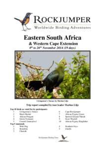 Eastern South Africa & Western Cape Extension 8th to 26th November[removed]days) Livingstone’s Turaco by Markus Lilje