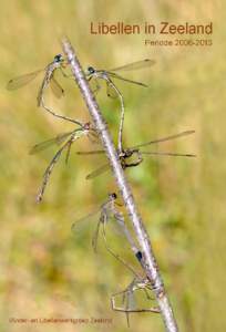 HOUTPANTSERJUFFER Lestes viridis[removed]De Houtpantserjuffer is nog steeds een algemene soort in Zeeland, hoewel er een opmerkelijk verschil zit in het