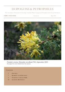 Isopogon dawsonii / Biology / Isopogon / Seed / Australian Native Plants Society / Proteaceae / Flowering plant / Isopogon anemonifolius / Flora of New South Wales / Botany / Plant sexuality