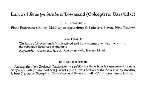 Larva of Bountya insularis Townsend (C oleoptera: Carabidae) J . I. TOWNSEND Plant Protection Centre, Ministry of Agriculture & Fisheries, Levin, New Zealand