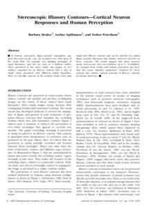 Stereoscopic Illusory Contours—Cortical Neuron Responses and Human Perception Barbara Heider 1, Lothar Spillmann2, and Esther Peterhans3