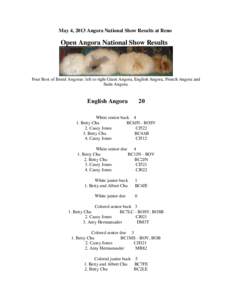 May 4, 2013 Angora National Show Results at Reno  Open Angora National Show Results Four Best of Breed Angoras: left to right Giant Angora, English Angora, French Angora and Satin Angora.