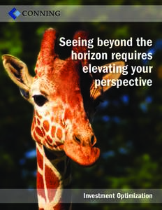 Seeing beyond the horizon requires elevating your perspective  Investment Optimization