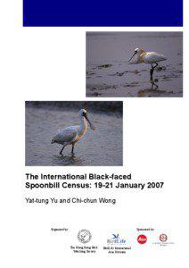 The International Black-faced Spoonbill Census: 19-21 January 2007 Yat-tung Yu and Chi-chun Wong