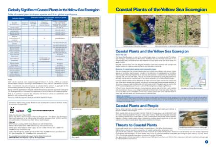 Globally Significant Coastal Plants in theYellow Sea Ecoregion  Coastal Plants of theYellow Sea Ecoregion Table of coastal plant indicator species and their global significance Criteria for habitat and vulnerable species