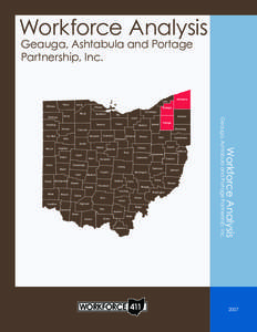 Workforce Analysis Geauga, Ashtabula and Portage Partnership, Inc. Williams