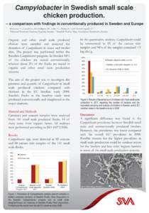 Campylobacter in Swedish small scale chicken production. – a comparison with findings in conventionally produced in Sweden and Europe Hansson, I.1, Gustafsson, P.2, Hellquist, B.1, Lahti, E.1, Pudas, N.1 and Olsson Eng