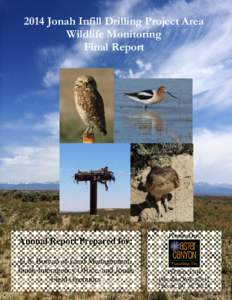 Jonah Field / Burrowing Owl / Mountain Plover / Owl / Plover / Birds of North America / Wildlife / BP