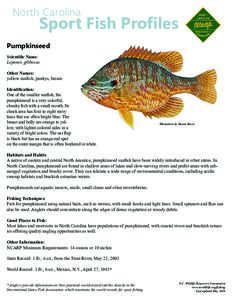 North Carolina  Sport Fish Profiles Pumpkinseed Scientific Name: