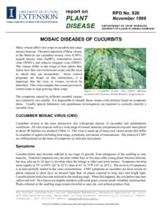 report on  PLANT DISEASE  RPD No. 926