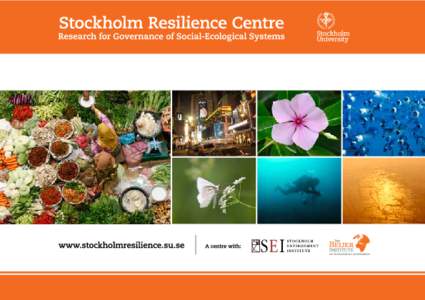 Stockholm Resilience Centre develops innovative approaches on how to govern ecosystem services and build resilience for long-term sustainability. The Centre aims to understand the complexity and interdependence between 