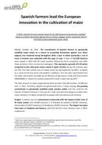 Spanish farmers lead the European innovation in the cultivation of maize In 2014, Spanish farmers sowed a total of 131,538 hectares of genetically modified maize to protect themselves against the corn borer plagues, whic