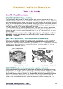 Tema 7: La Célula Tema 7.1: Célula y Biomembranas ORGANIZACIÓN DE LA CÉLULA VEGETAL Las células fueron descubiertas por Robert Hooke en 1665, hace un poco más de 300 años. EnSchleiden y Schwann enunciaron