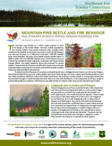 Northwest Fire Science Consortium A JFSP KNOWLEDGE EXCHANGE CONSORTIUM MOUNTAIN PINE BEETLE AND FIRE BEHAVIOR FUEL DYNAMICS IN SOUTH CENTRAL OREGON LODGEPOLE PINE