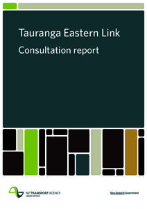 Tauranga Eastern Link consultation report