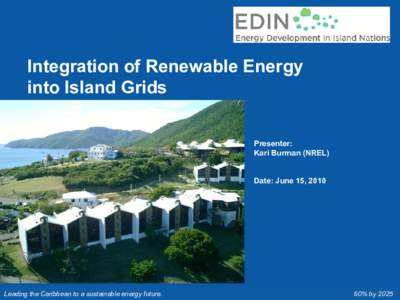 Integration of Renewable Energy into Island Grids