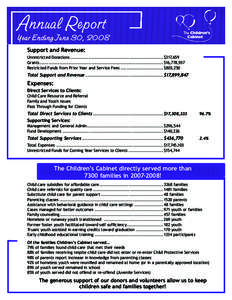 08CHC019-Annual Report 2008.indd