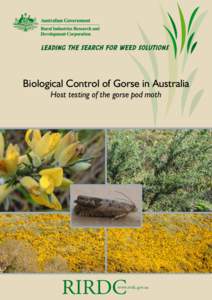 Biological Control of Gorse in Australia Host testing of the gorse pod moth www.rirdc.gov.au  Biological Control of