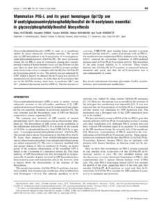 Proteins / Coenzymes / Metabolism / Uridine diphosphate N-acetylglucosamine / Chaperone / Molecular cloning / Biology / Biochemistry / Molecular biology