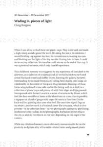 30 November – 17 DecemberWading in, pieces of light Craig Burgess  When I was a boy we had these red plastic cups. They were hard and made
